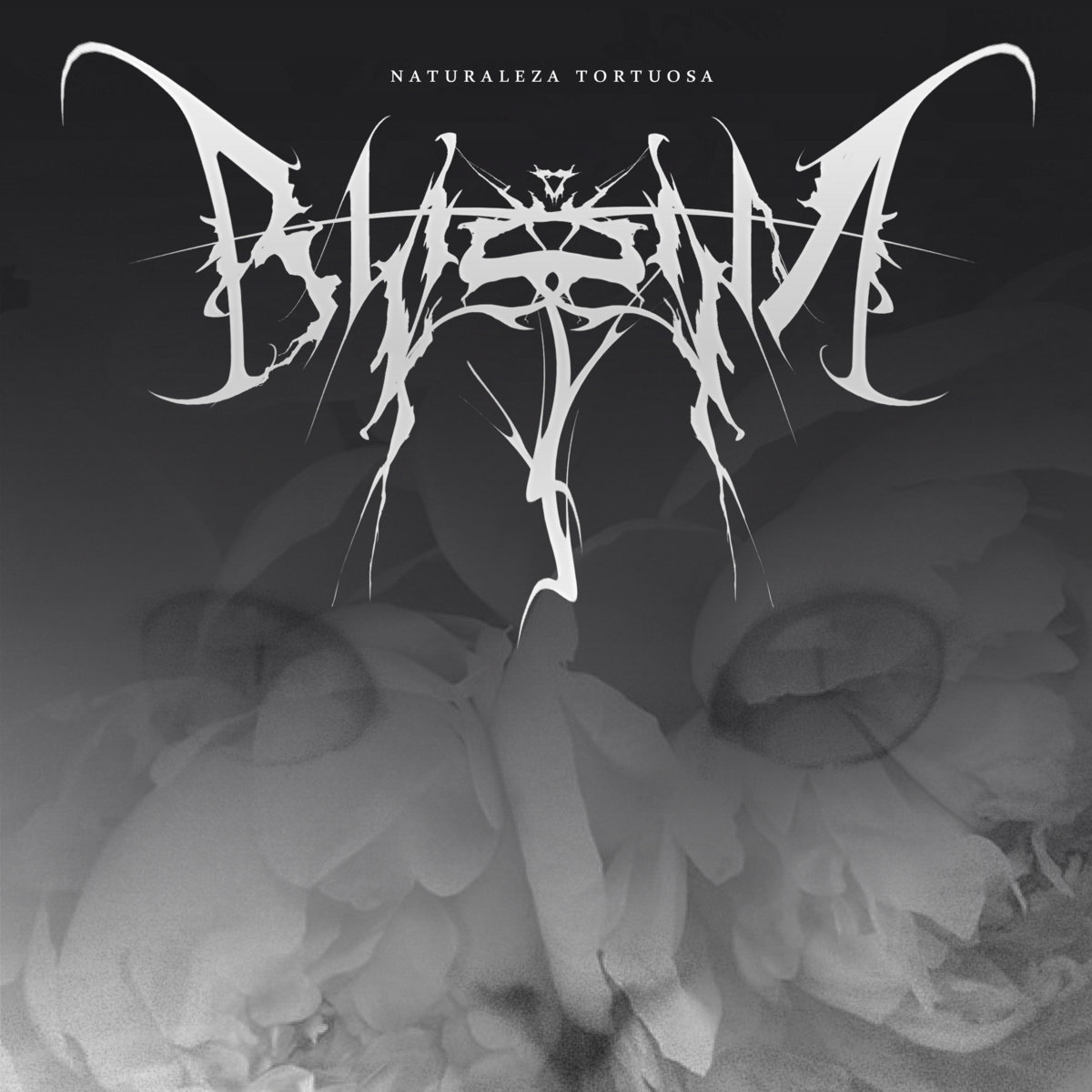 Descarga - 2020 - Blossom - Naturaleza Tortuosa