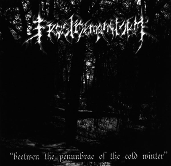 Descarga - Frostdemonstorm - Beetwen The Penumbrae Of The Cold Winter - 2008