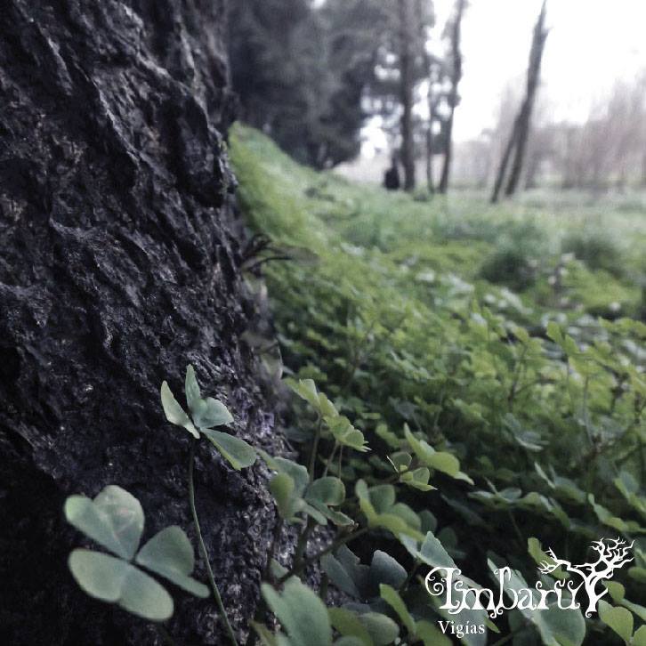 Imbaru ~ Vigías ~ Neofolk