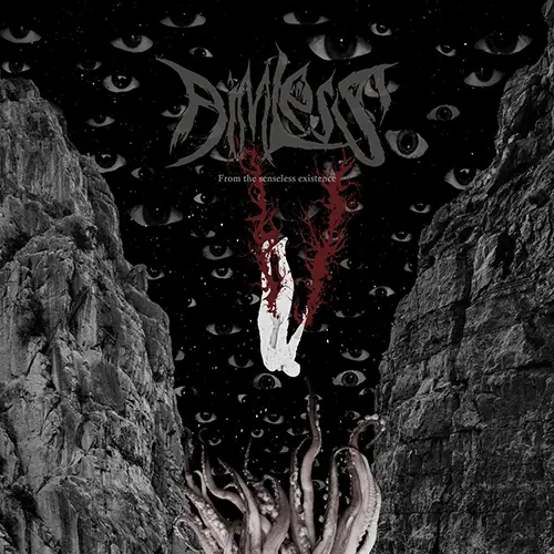 [CD REVIEW] Aimless: From the Senseless Existence | LP 2024 - Black Metal
