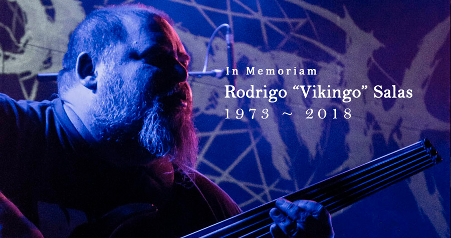 Rodrigo u201cVikingou201d Salas: 1973 - 2018