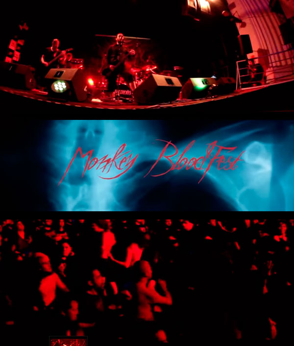 Monkey blood 2014 video